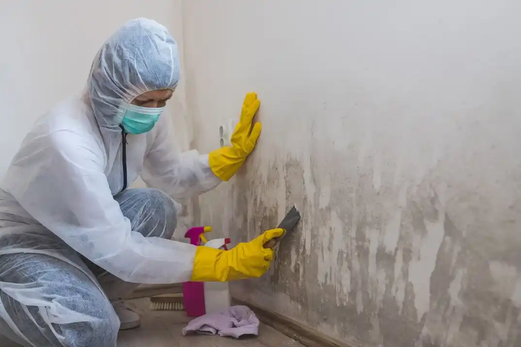 water damage restoration service North East